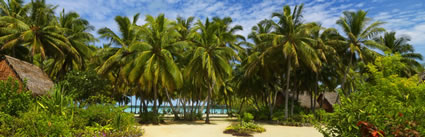 Cook Islands - Aitutaki (PBH3 00 1271)