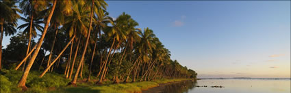 Aitutaki Palm Trees (PBH3 00 2043)