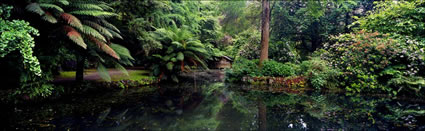 Romantic Boat Shed - VIC (PB00 3714)