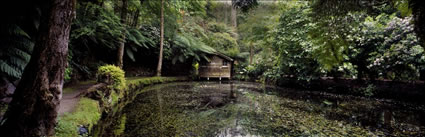 Romantic Boat Shed - VIC (PB00 3707)