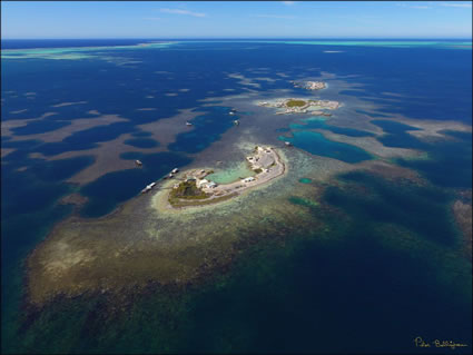 Basile Island - Abrolhos - WA (PBH3 00 4752)