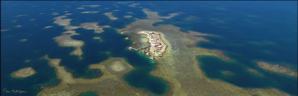 Basile Island - Abrolhos - WA (PBH3 00 4754)