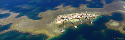 Basile Island - Abrolhos - WA (PBH3 00 4755)