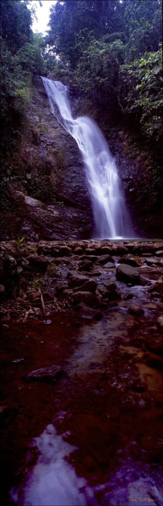 Biausevu Waterfall Vertical - Fiji (PB00 4781)