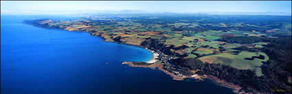 Boat Harbour - TAS (PB00 0791)