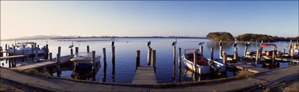 Boats and Pelicans - Tuncurry - NSW (PB00 2159)