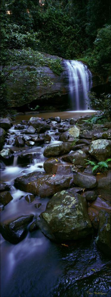 Buderim Waterfall - Vertical - QLD