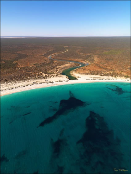 Bulbarli Well - Warroora  - WA (PBH3 00 7727)