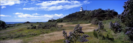 Round Hill Pt Lighthouse - TAS (PB00 1700)