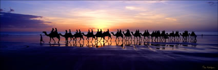 Camels Silhoutte - Broome -WA (PB00 4077)