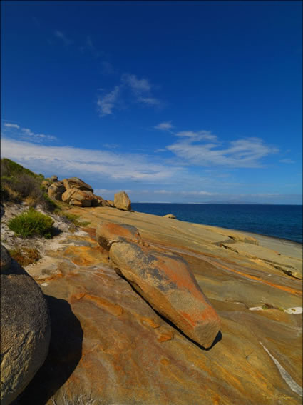 Cape Arid - WA (PBH3 0 0886)