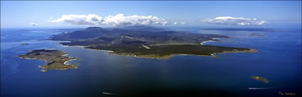 Cape Barren Island - TAS (PB00 5492)