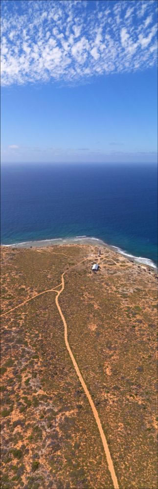 Cape Inscription - Shark Bay - WA (PBH3 00 4903)