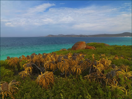 Cape Le Grand - WA (PBH3 00 0815)