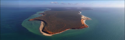 Cape Peron - Shark Bay -  WA (PBH3 00 4919)