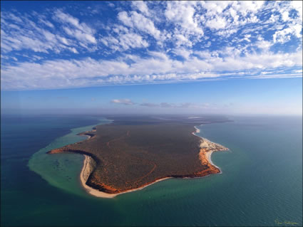 Cape Peron - Shark Bay - WA SQ (PBH3 00 4919)