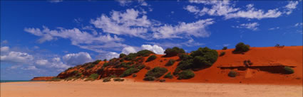 Cape Peron - WA (PBH3 00 5036)