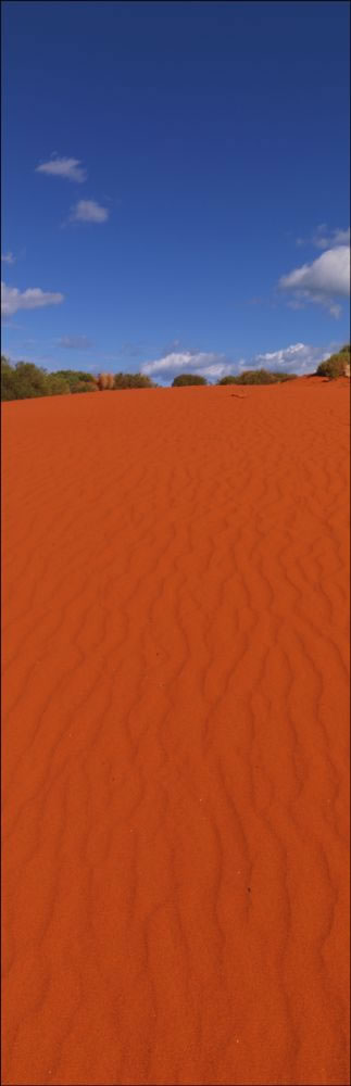 Cape Peron Dune - WA (PBH3 00 5051)