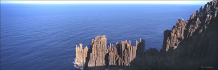 Cape Raoul - TAS (PB00 5764)