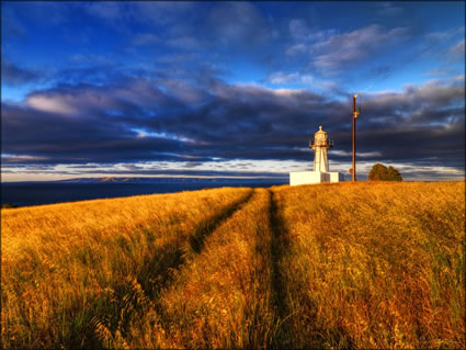 Cape St Albans Lighthouse - SA SQ (PBH3 00 31484)