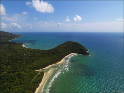 Cape Tribulation - QLD (PBH3 00 13228)