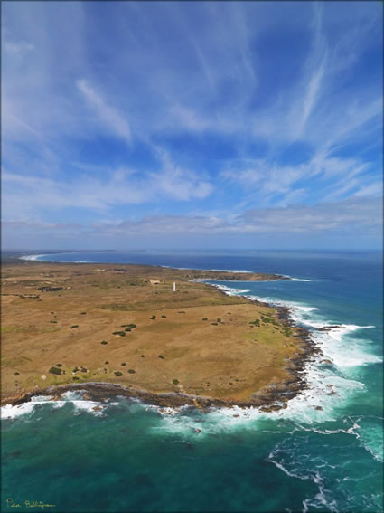 Cape Wickham Lighthouse - TAS SQ V (PBH3 00 25589)