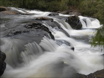 Cascades - Pemberton WA SQ (PBH3 00 4515)