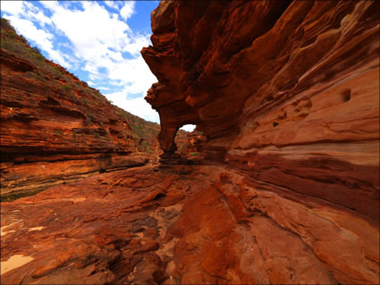 Cathedral Arch - WA  SQ (PBH3 00 5132)