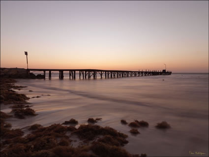 Cervantes Jetty - WA SQ (PBH3 00 4404)