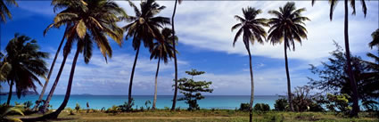 Champagne Beach - Fiji (PB00 4957)
