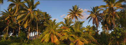 Coconut Light - Aitutaki (PBH3 00 2042)