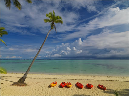 Coconuts and Kayaks - Aitutaki (PBH3 00 1348)