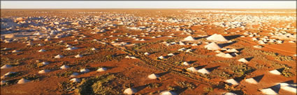 Coober Pedy - SA (PBH3 00 29939)