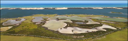 Coorong NP - SA (PBH3 00 31267)