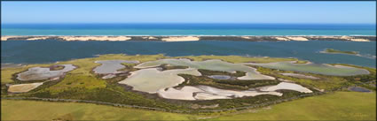 Coorong NP - SA (PBH3 00 31268)