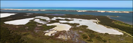 Coorong NP - SA (PBH3 00 31275)