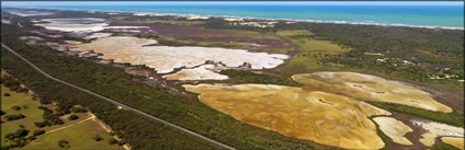 Coorong NP - SA (PBH3 00 31281)