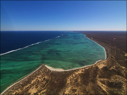 Reef - Ningaloo -  WA SQ  (PBH3 00 7736)