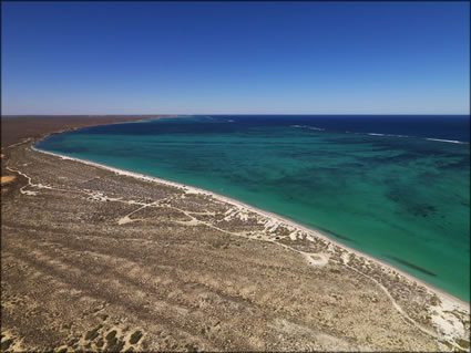 Coral Bay - WA (PBH3 00 7737)