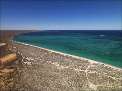 Coral Bay - WA (PBH3 00 7738)