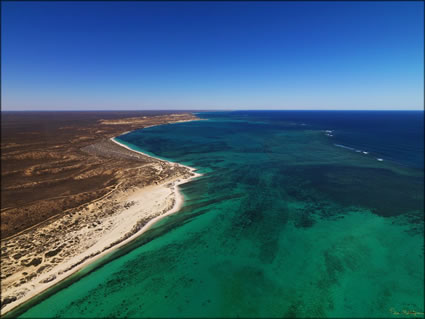 Ningaloo - WA SQ (PBH3 00 7742)