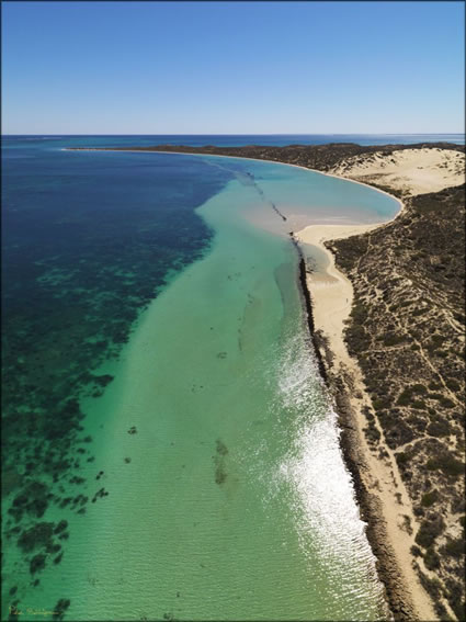 Coral Bay - WA (PBH3 00 7762)