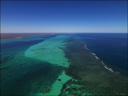 Coral Bay - WA (PBH3 00  7771)