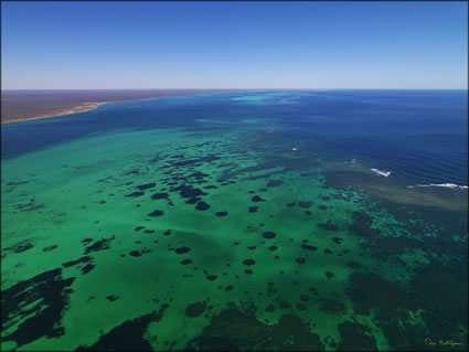 Coral Bay - WA (PBH3 00 7772)