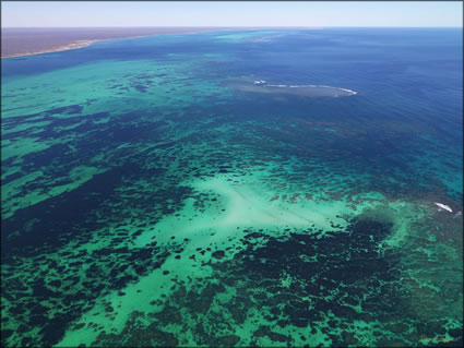 Ningaloo Reef - WA SQ  (PBH3 00 7775)