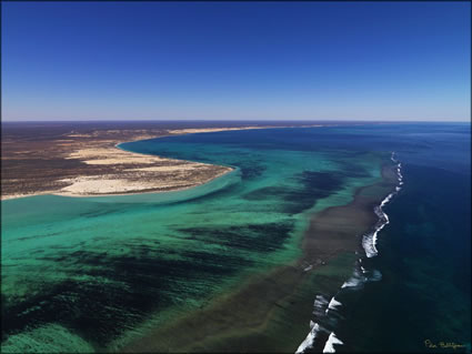 Coral Bay - WA (PBH3 00 7778)