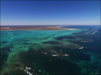 Coral Bay - WA (PBH3 00 7779)