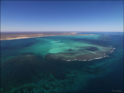 Ningaloo Reef  - WA SQ  (PBH3 00 7782)