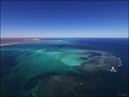 Ningaloo Reef - WA SQ (PBH3 00 7783)