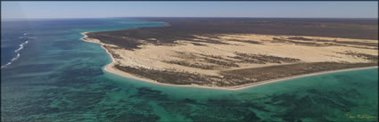 Coral Bay - WA (PBH3 00 7787)